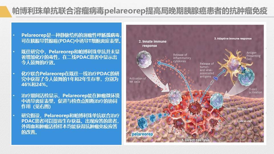应用|胰腺癌综合治疗大讲堂-免疫治疗专讲主题活动回顾1