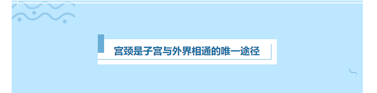 IMMsight|普康裕|IMMsight免疫量化与疾病风险评估再添新病种!