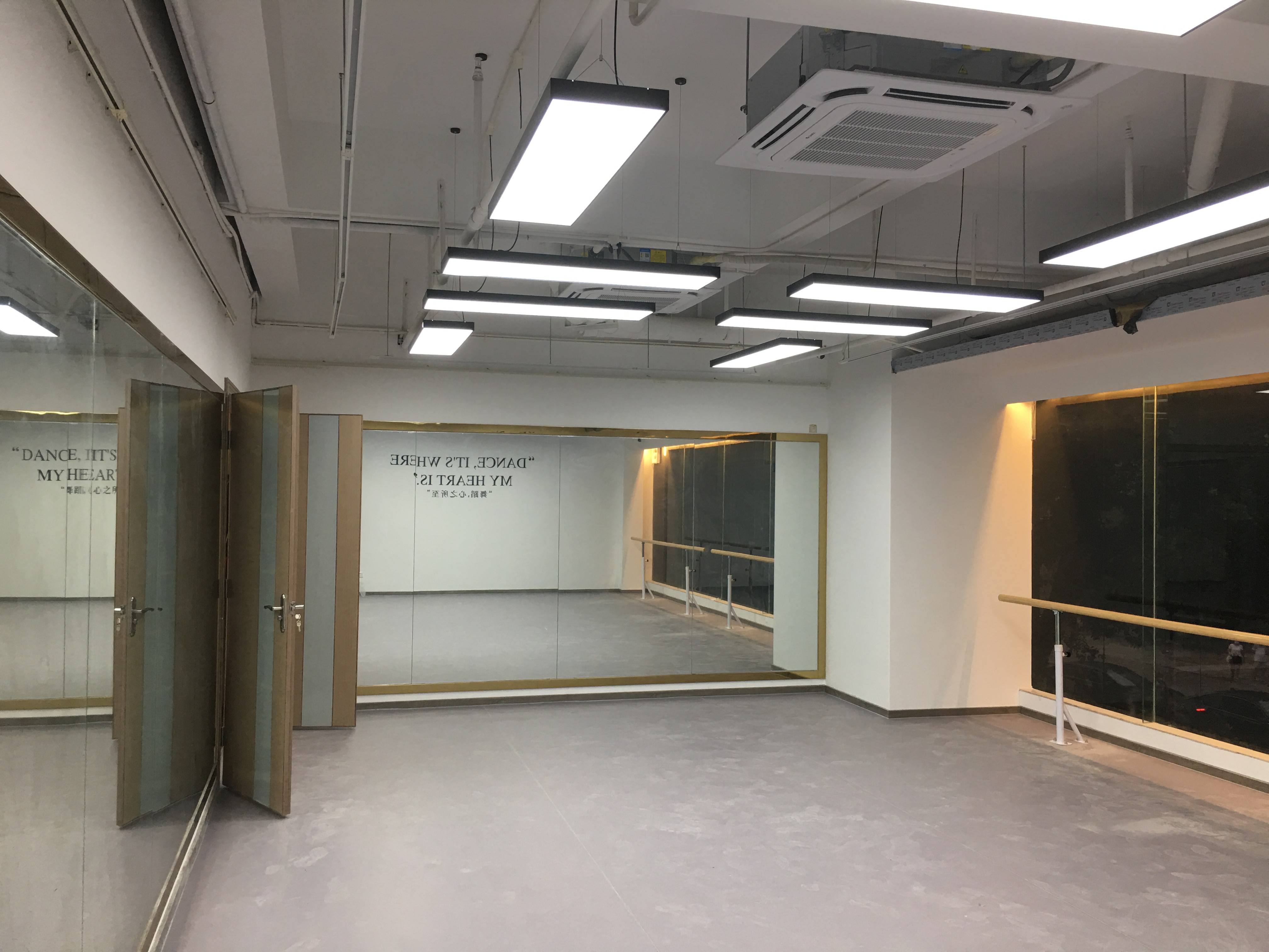 舞蹈地胶地垫健身房pvc专业专用教室塑胶运动地板室内芭蕾幼儿园