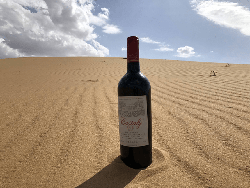 梦想|用心经营梦想,凯仕丽与《中国好声音》共同见证每一份坚持