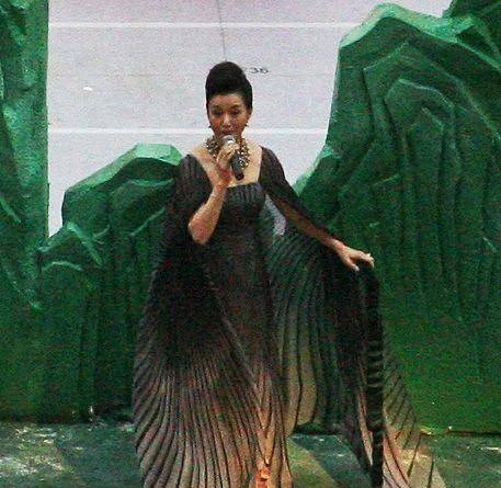 差不多|艺术家里真服宋祖英，私下里和“路人”差不多，但气质却掩盖不住