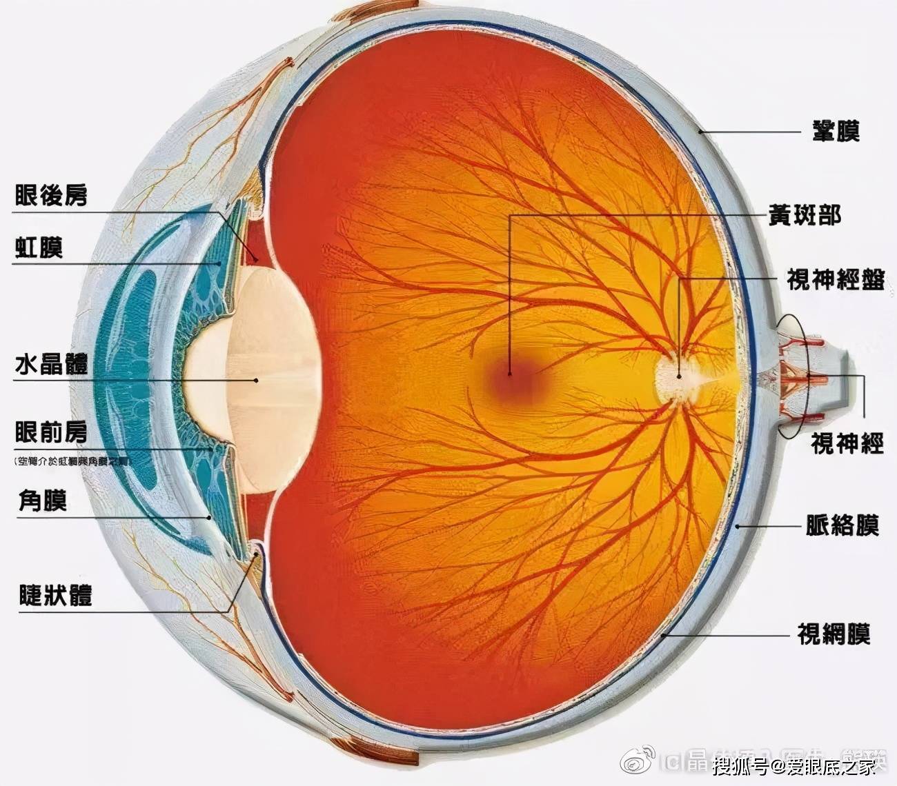 眼底皱纹 眼底皱纹有办法去除吗