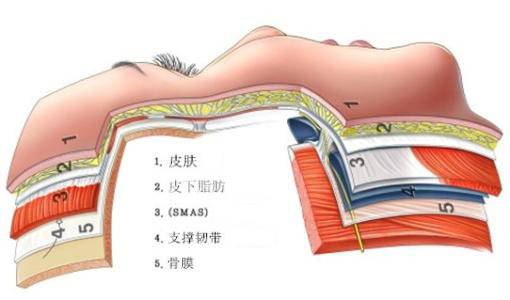 情况|李方奇：20多岁适合做小切口提升抗衰吗？