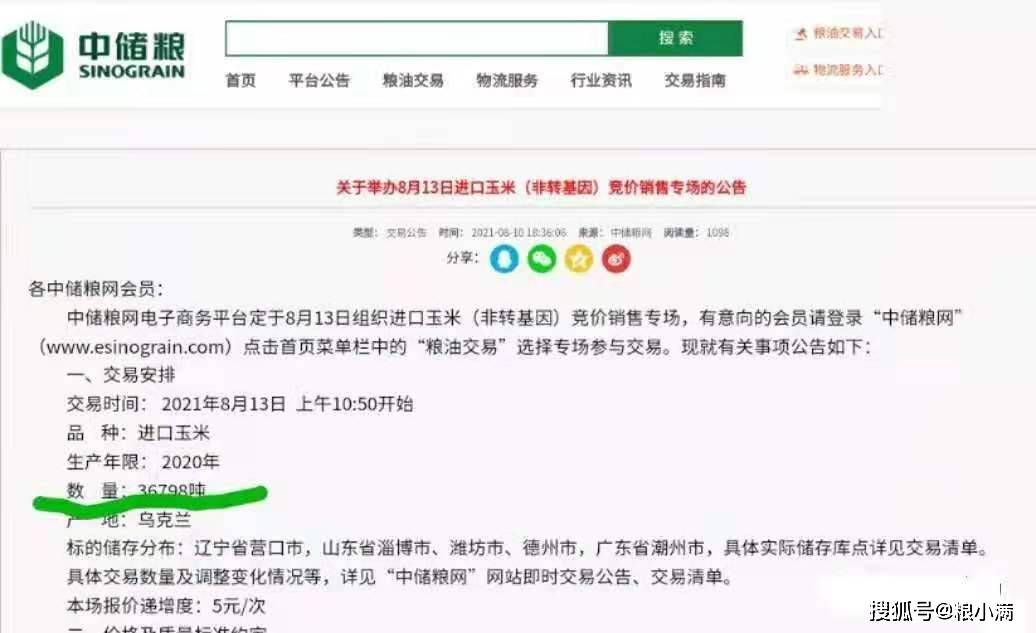 山东|2021年8月12日玉米价格行情：山东强势上涨！30万吨进口拍来了