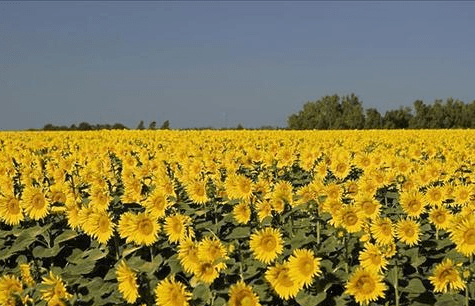 今天 8月15日 开始 超好运5星座 贵人相助 事业蒸蒸日上 爱情事业双丰收 天秤座