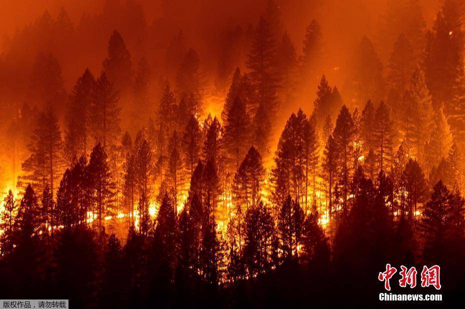 美国加州野火肆虐火光映红山林