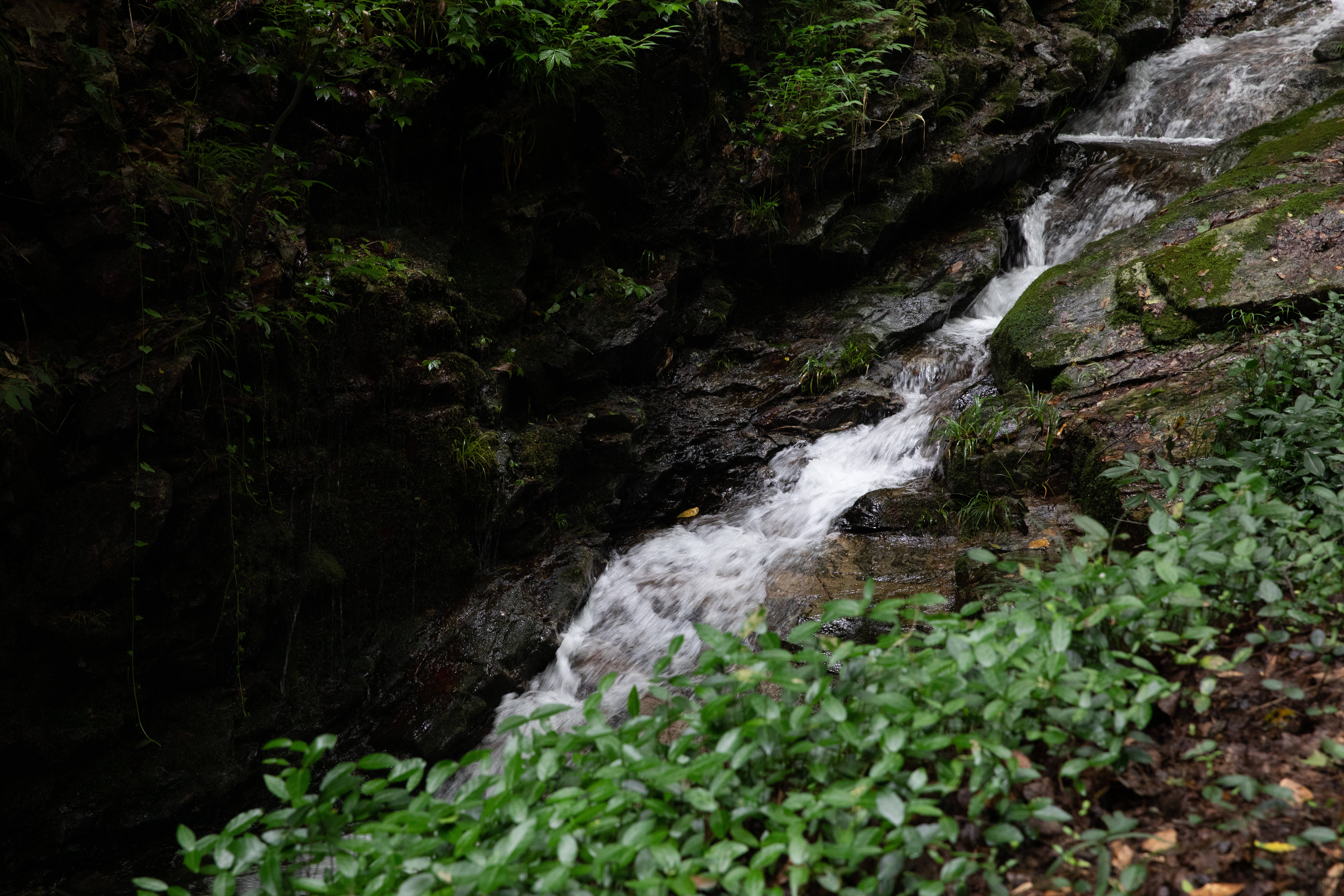 霍山铜锣寨风景区图片