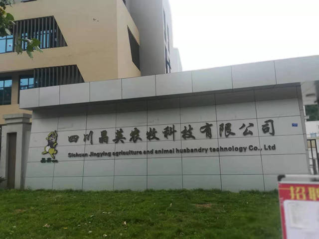 牛羊|茂縣冉莽農業科技公司： 結親晶英農牧 助力牧區牛羊越冬渡春