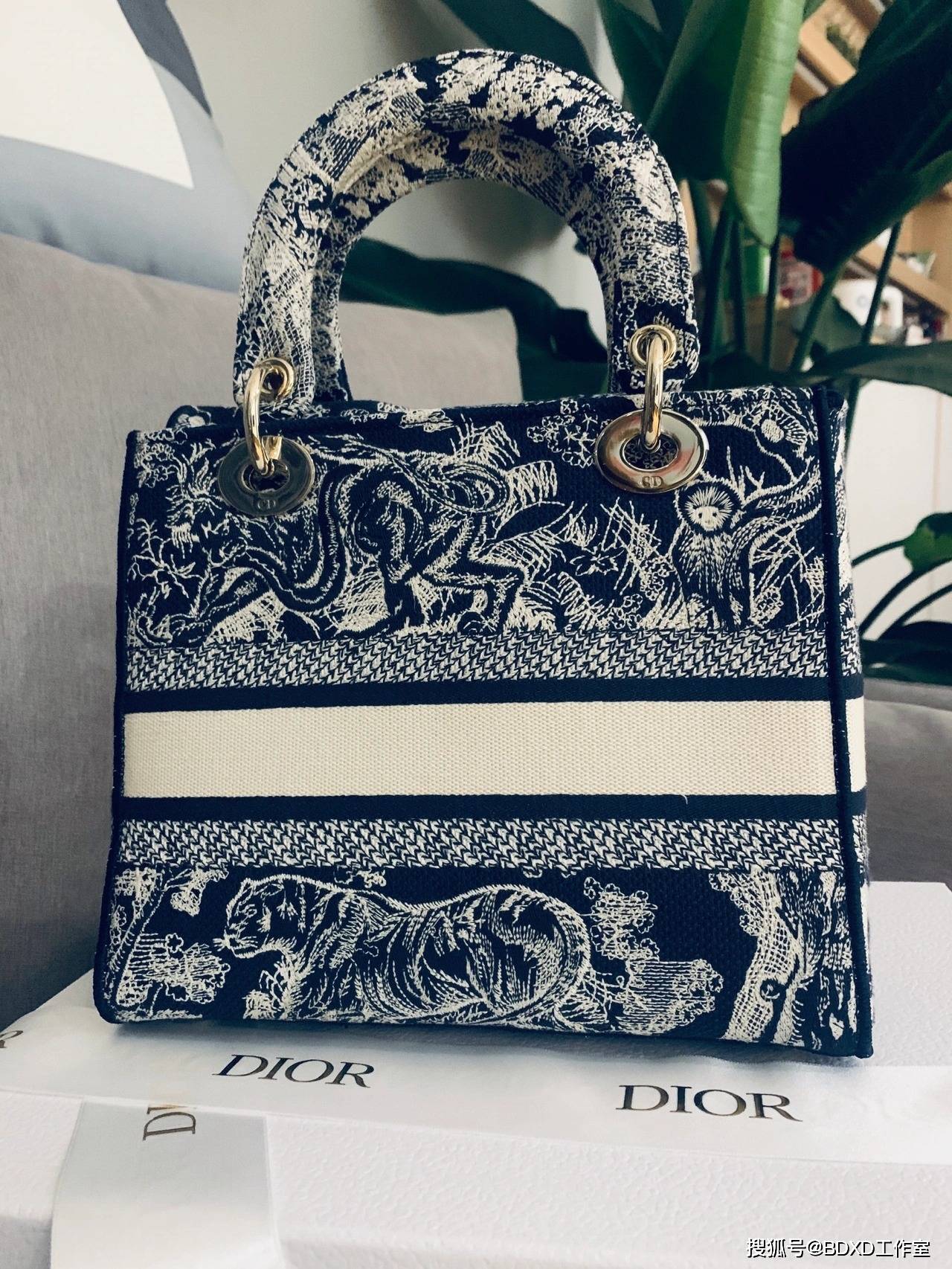 刺绣|Dior2021新款Lady D-Lite印花刺绣包