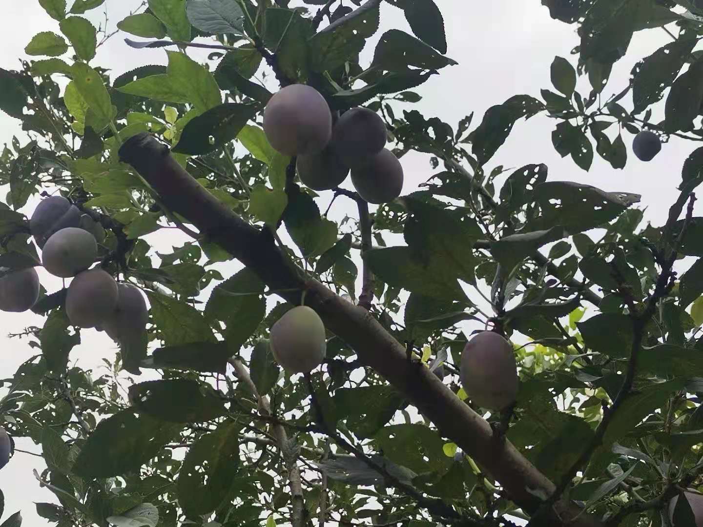 过好当下自己的生活，比什么都重要_搜狐网