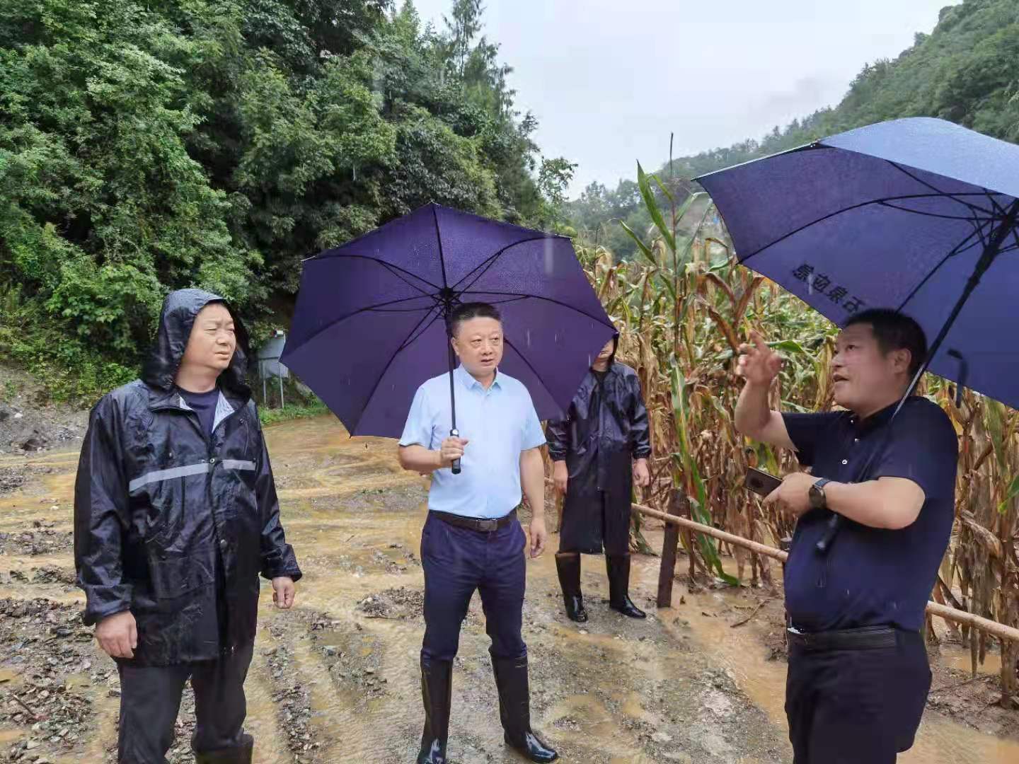 8月22日,石泉縣委副書記,縣長周耀宜主持召開防汛工作緊急會議,聽取雨