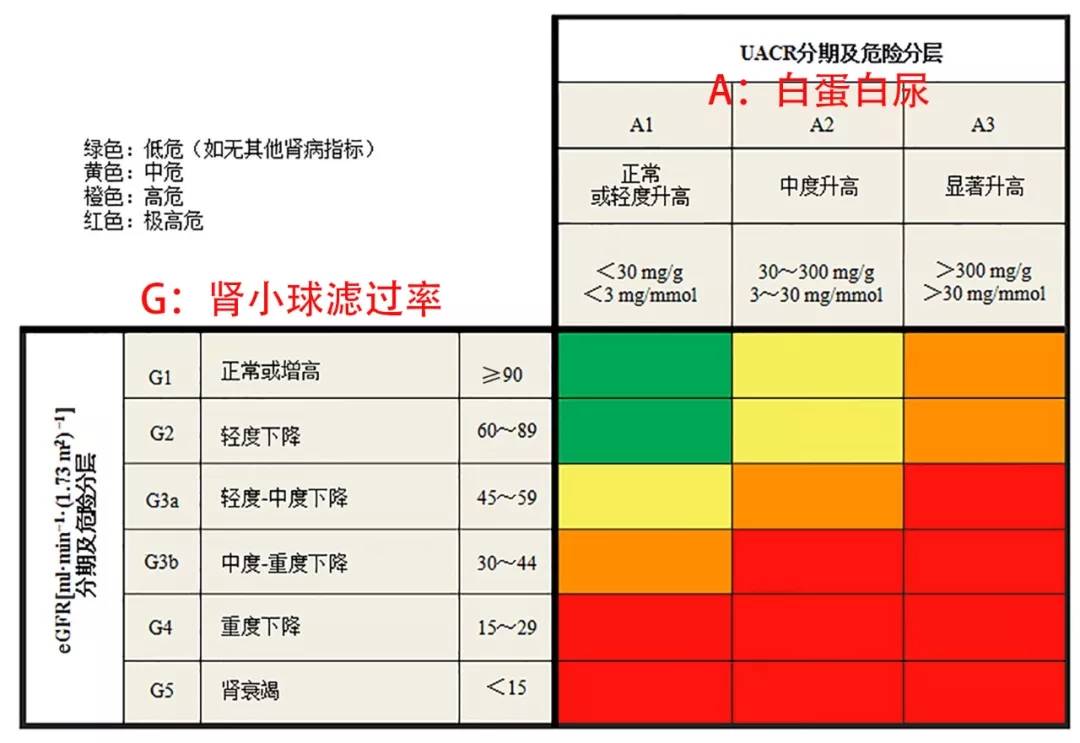 患了肾病多久会尿毒症这类肾病最快会毒