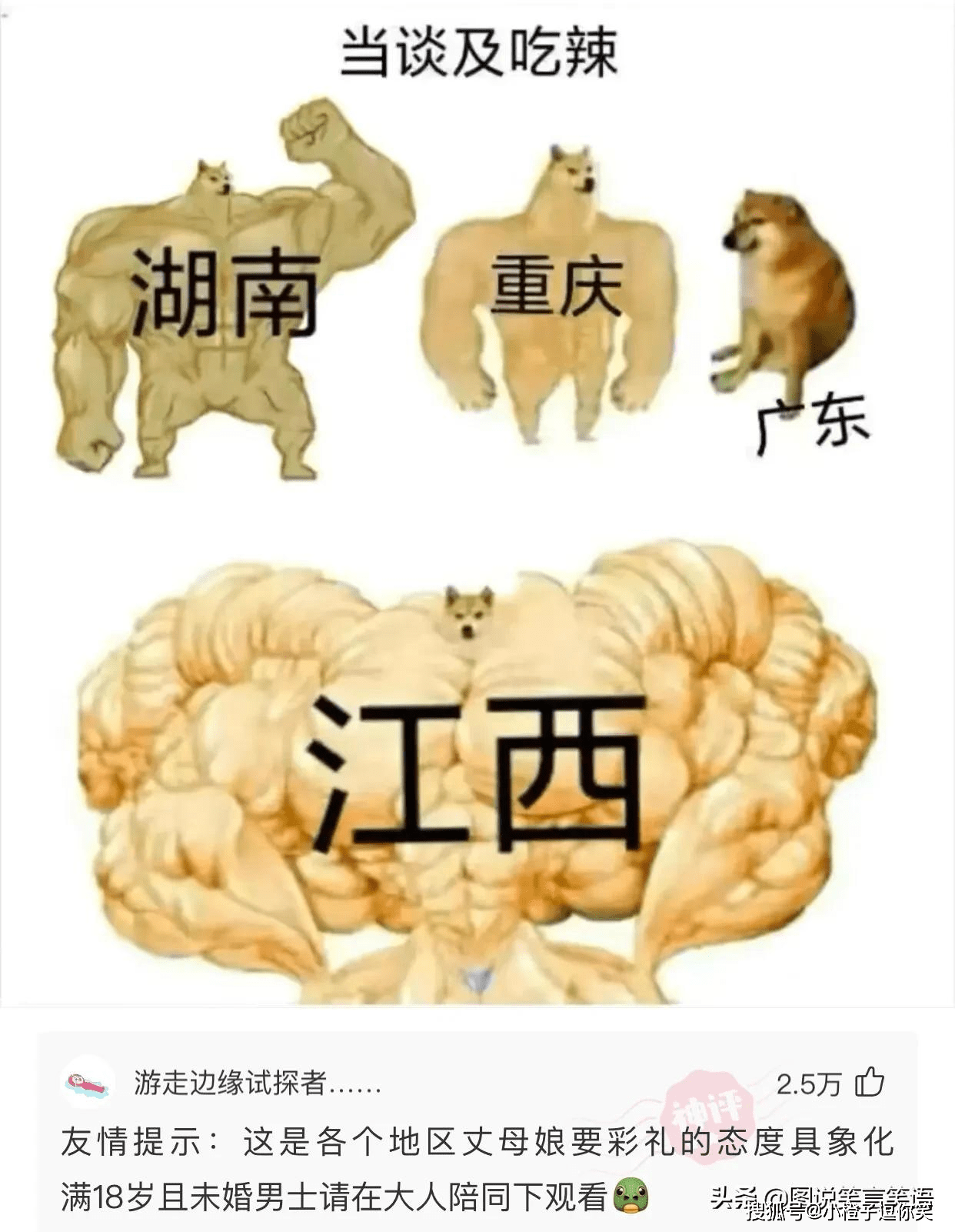 爆笑第10期：那些意想不到的大神評論. 搞笑整蠱 第10张