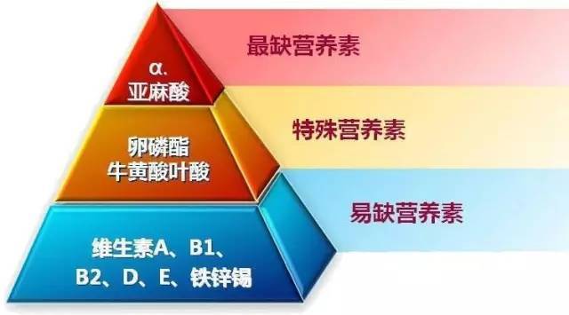 什么|为什么亚麻籽油那么火？它到底隐藏着什么健康的秘密。。。