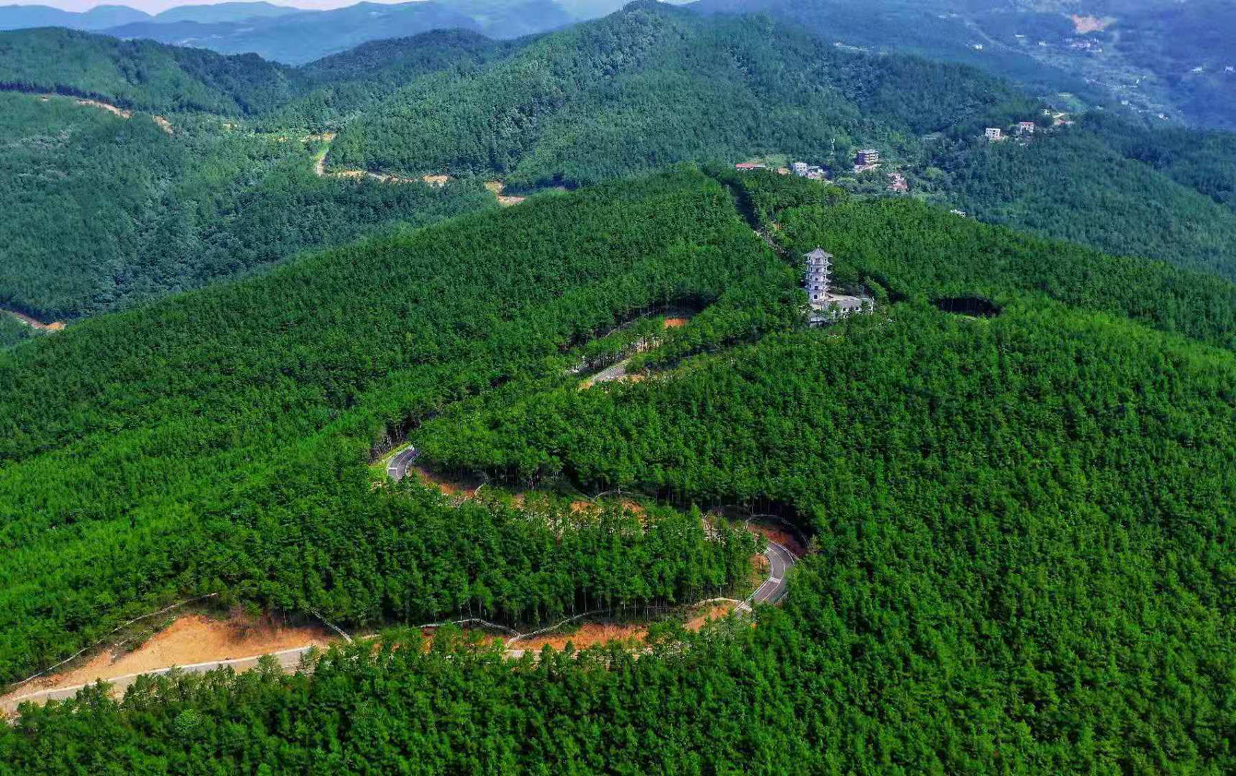 超震撼,上帝视角俯瞰黑石坡森林公园,简直太美了