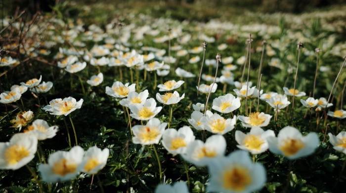 想在一线市场抢订单，家电厂商接下来得掌握这个能力！-家电圈官网