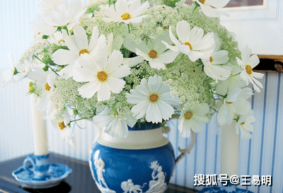 易学老师王易明 解读花瓶风水知识 了解花瓶在风水中的作用 鲜花