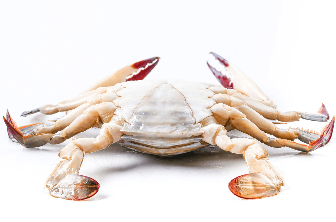 买梭子蟹时牢记一看二掂三捏个个新鲜肥美不花冤枉钱