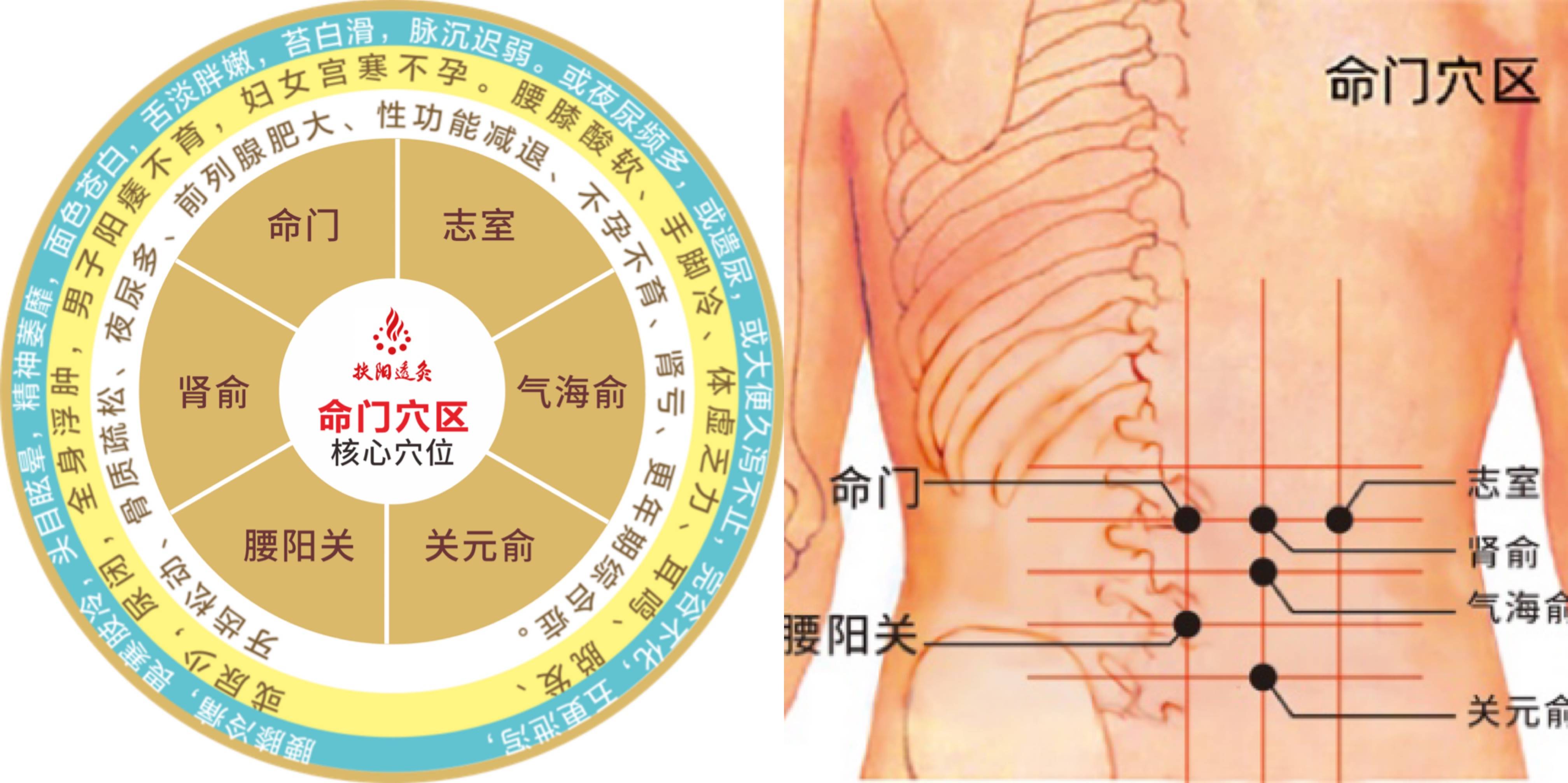 艾灸竟然还能减肥?这样灸,甩掉小腹赘肉