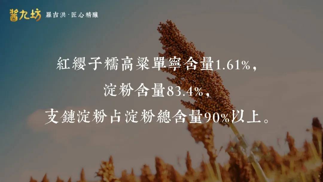 酿酒|酱九坊观点 | 为什么糯高粱酿造的酱酒最香。