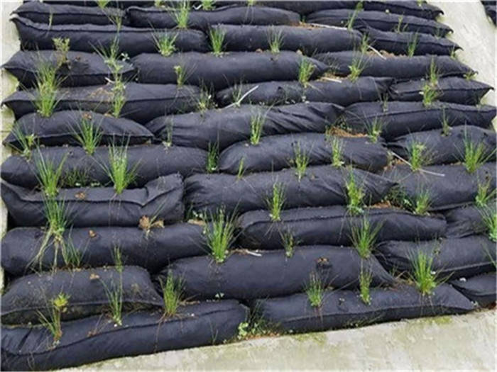 生态袋的功能以及应用