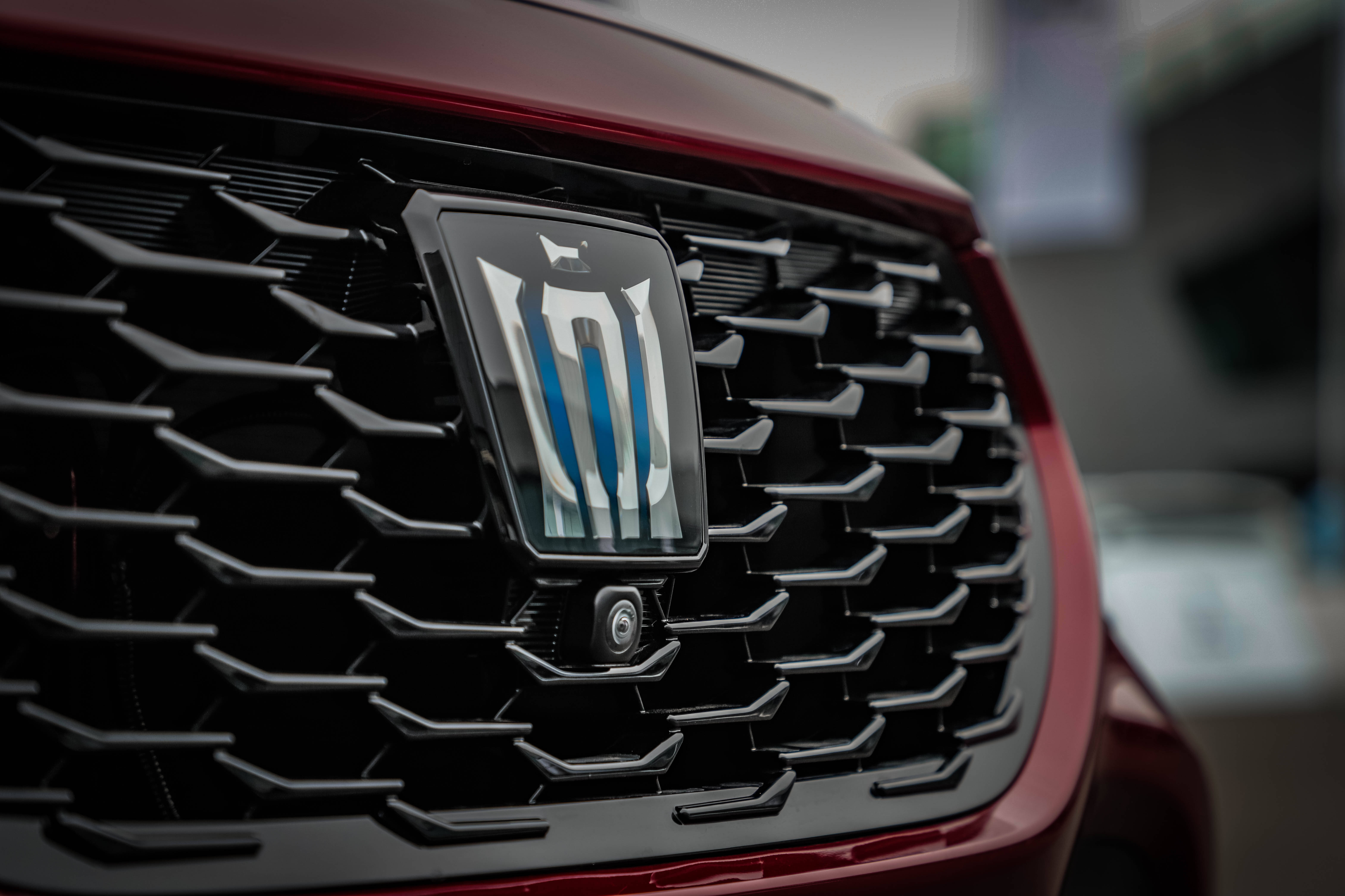 首试皇冠余韵陆放绽放