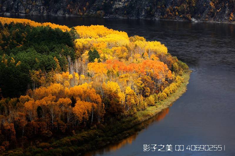 驯鹿|根河湿地 驯鹿人家 大兴安岭秋色美