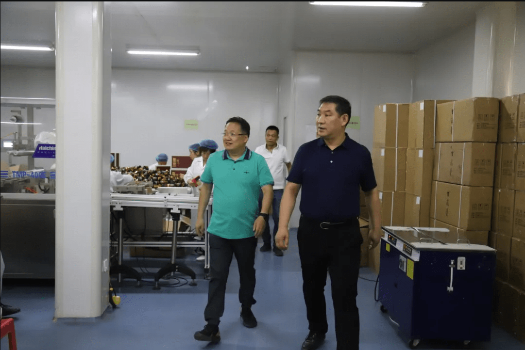 淳化县常务副县长王永刚副县长蒋苹相继莅临罗麻丹走访考察