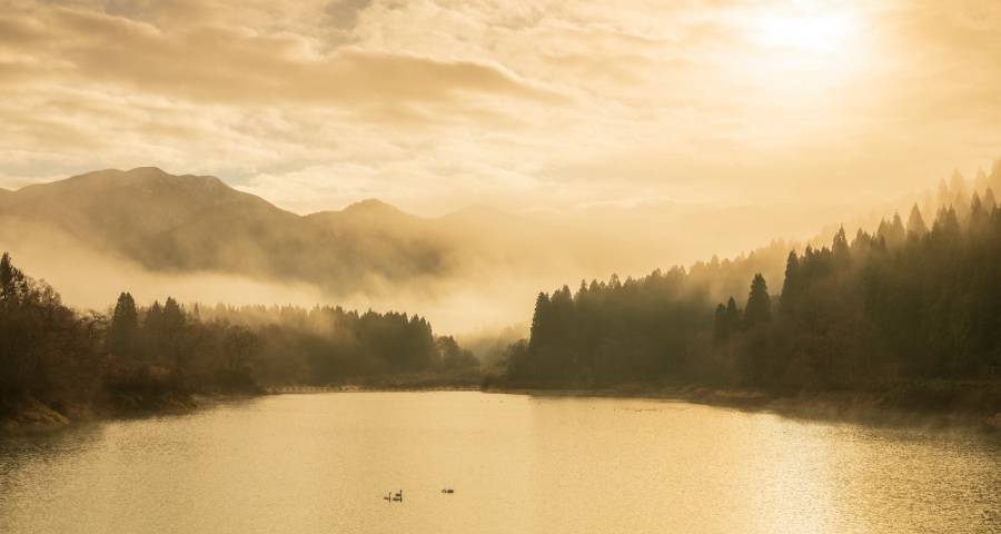 家电厂商接下来既要稳还要狠！-家电圈官网