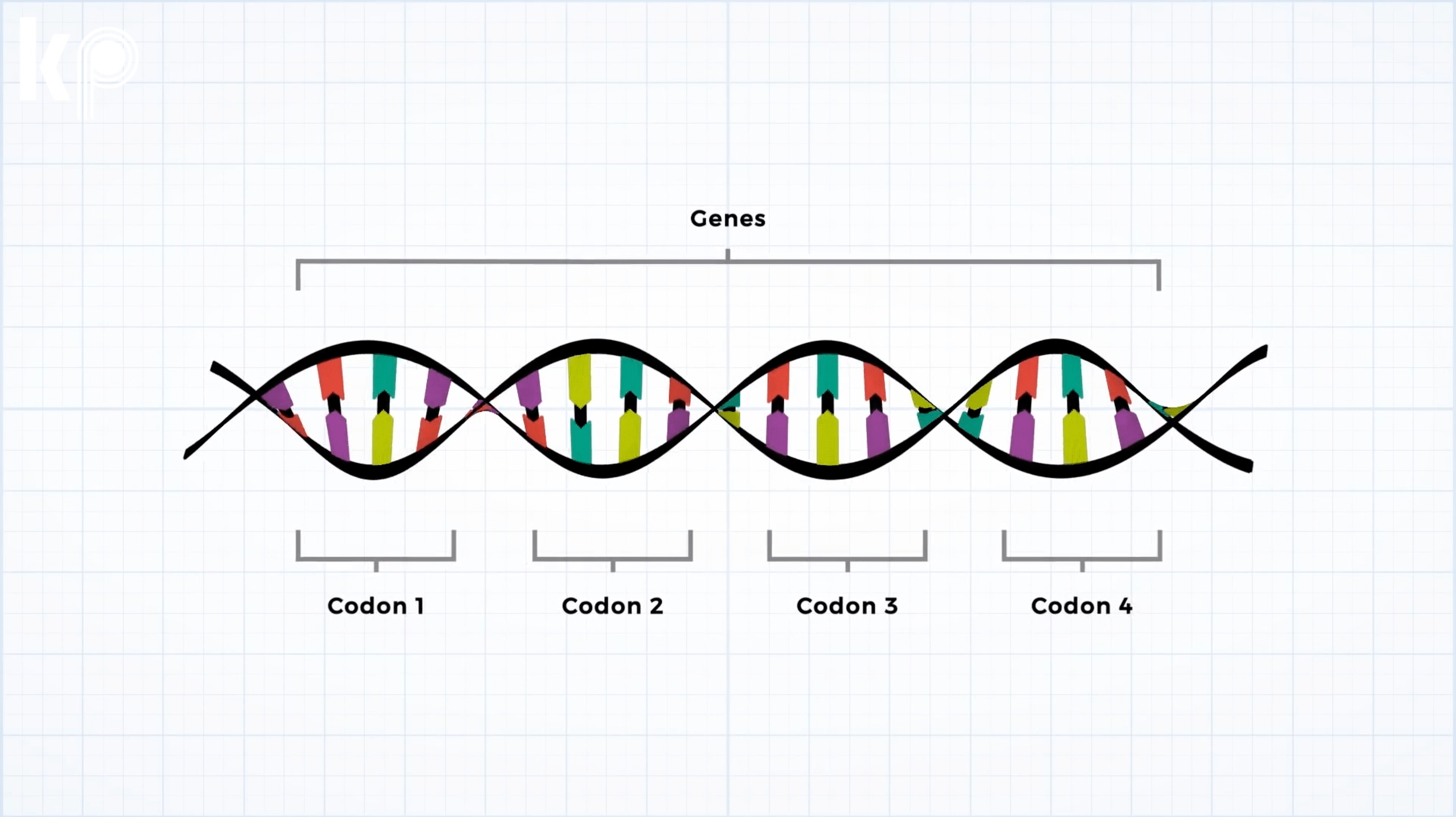 原创疯狂!可改变人类独一无二的dna,详解crispr-cas9基因编辑技术