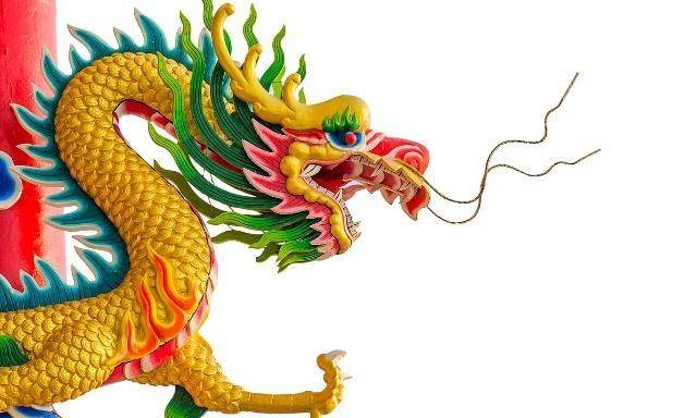 喜鹊在屋前报喜生肖龙紫气环身笑得合不拢嘴