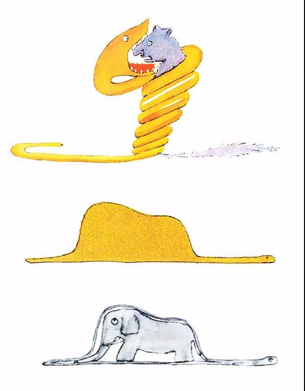 小王子画的蛇吞象帽子图片