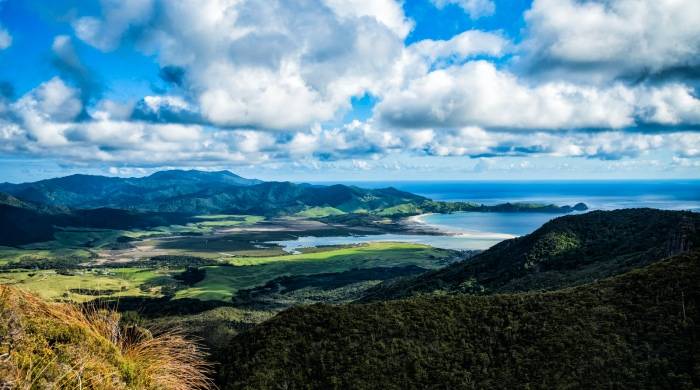 一些家电厂商很痛苦，却总在缘木求鱼和刻舟求剑-家电圈官网