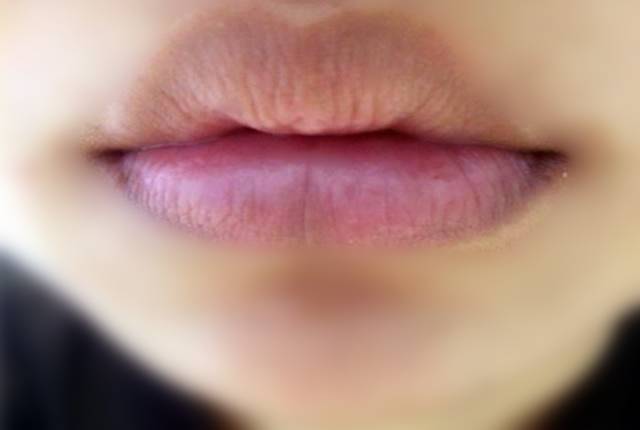 嘴唇紫钳图片