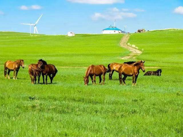 春天|刘先银散文《春天的记忆》与朱自清的精短散文《春》