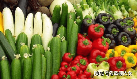 绿色耕作：生态农业的发展趋势