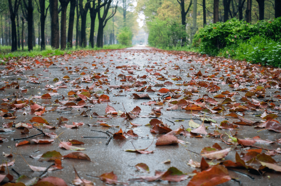 症状|天气转凉，咳嗽了怎么办？