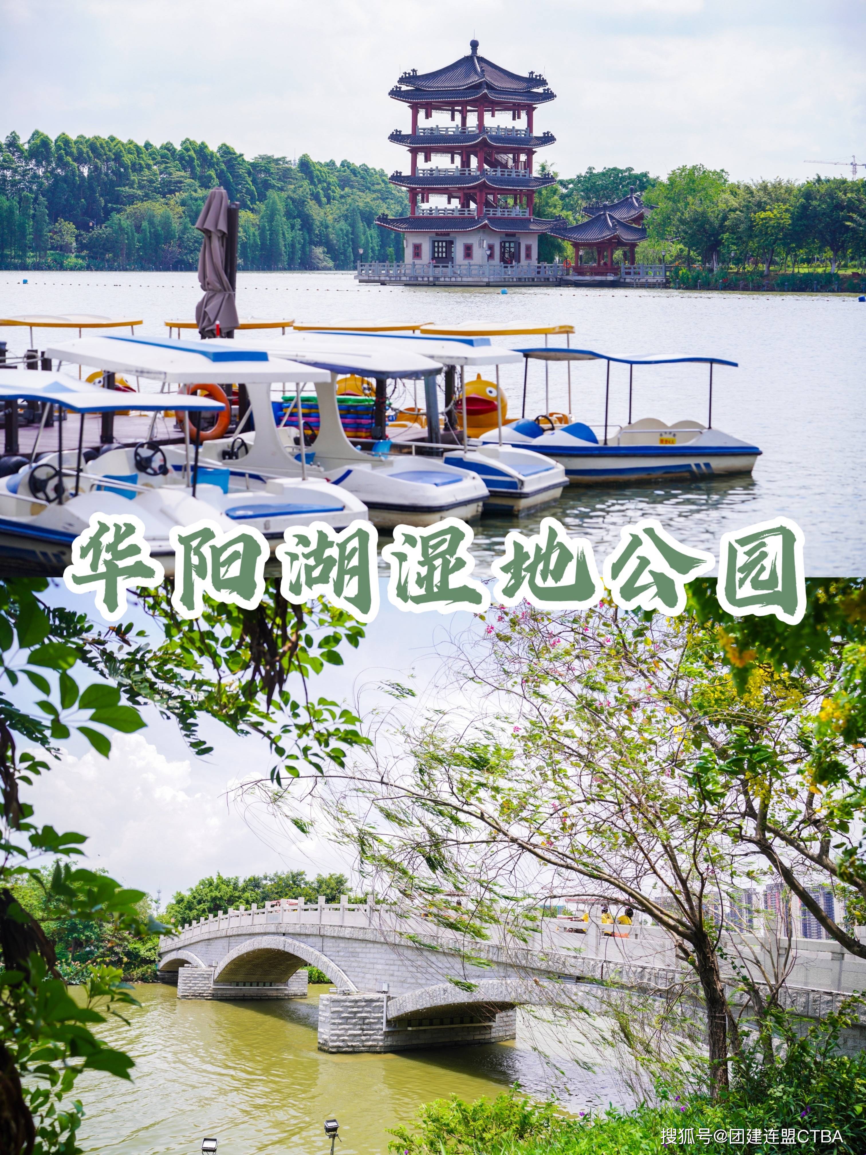 华阳湖湿地公园门票图片