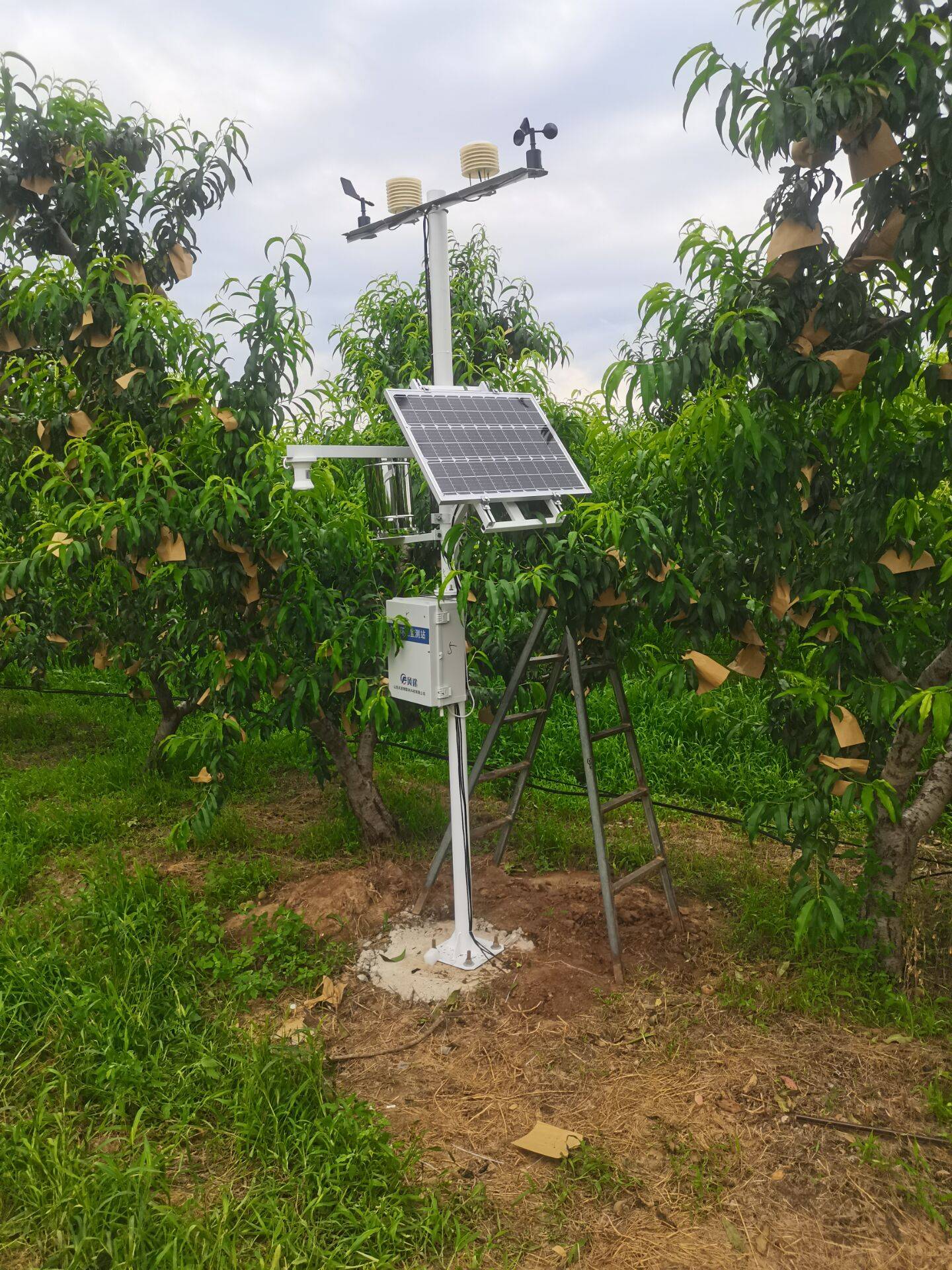 农业综合气象站建设解决方案