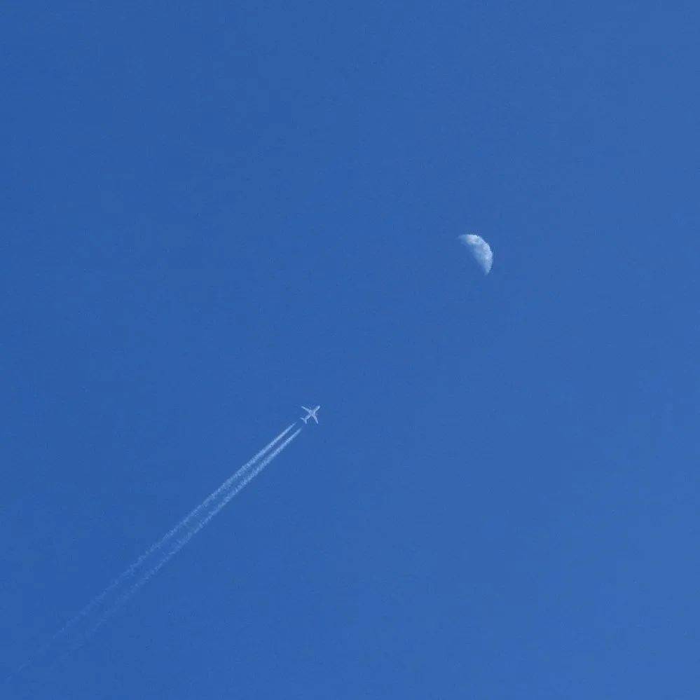 卡通 简约风格的头像|简单干净头像小清新头像|卡通可爱简单小头像|简易可爱的头像