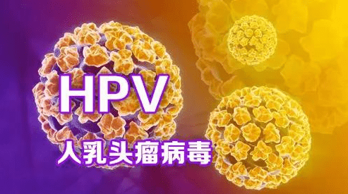 为什么会感染两种高危hpv 898d80ca53a24fb192fa330b55612451.png