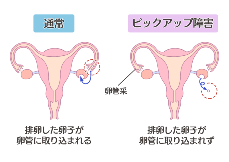 edec22056ccb400f82bd70a038ecac5c.png
