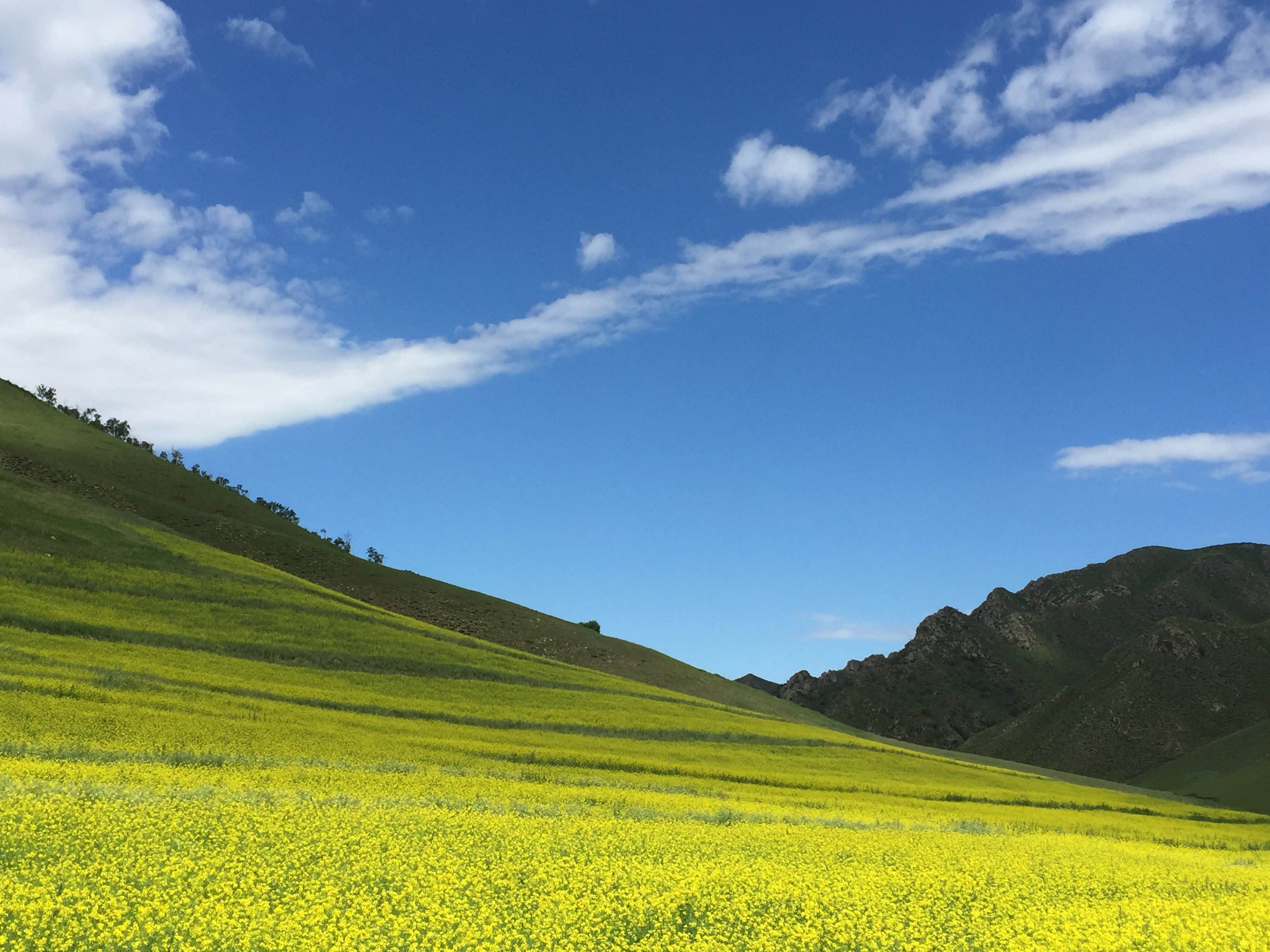 美丽中国丨塞北瀚海内蒙古_希拉穆仁草原