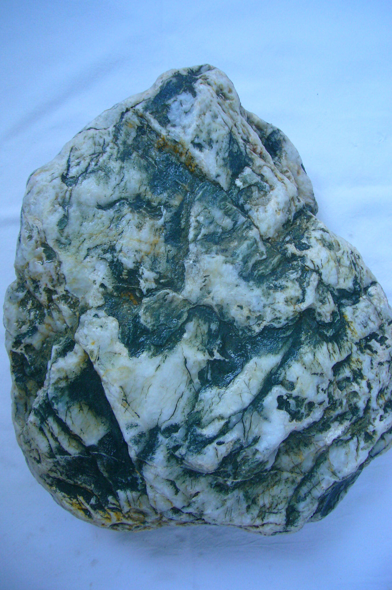 魅力|单福伦：奇石上的舞者