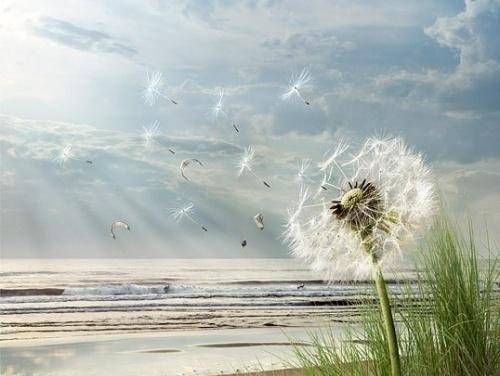 怎样才能让自己变得越来越有福气 e77f2d42c32c4335b9f713266fd1f3af.jpeg