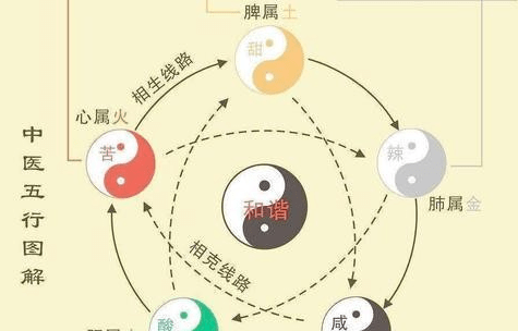 甲狀腺專家王佔榮:甲狀腺是心肝脾肺腎五臟經絡交匯處,中醫如何分析