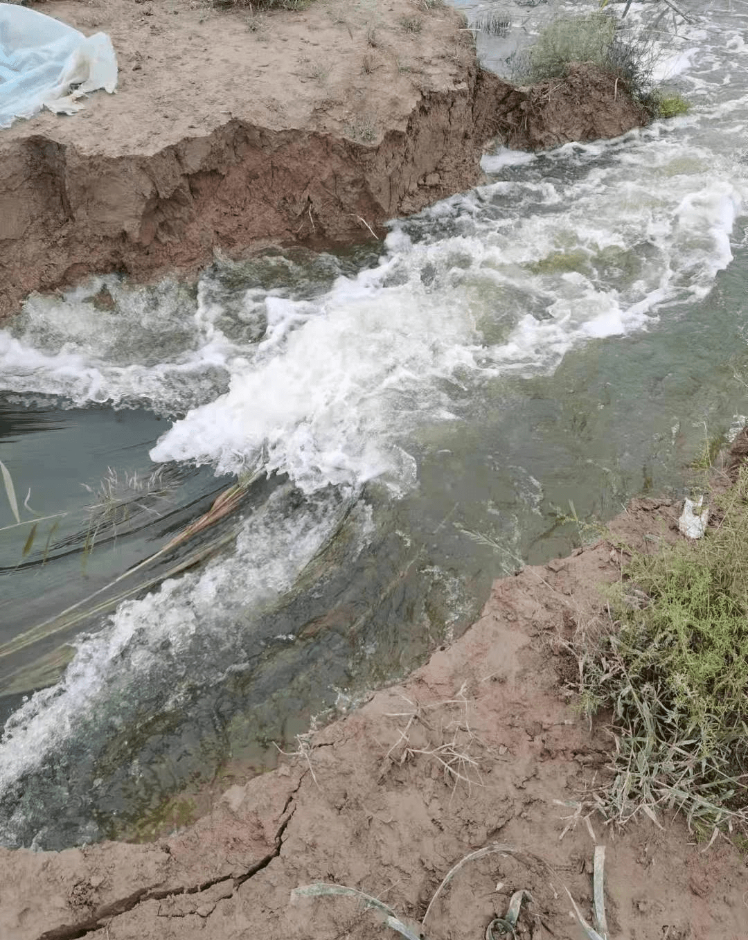 陕西大荔:排碱渠决堤,一外地人的无奈遭遇