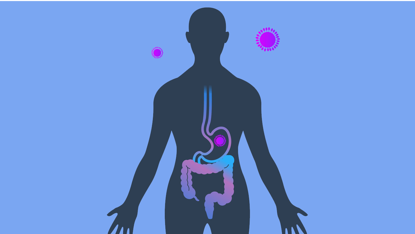 cell:一文揭秘胃肠道中的13大激素