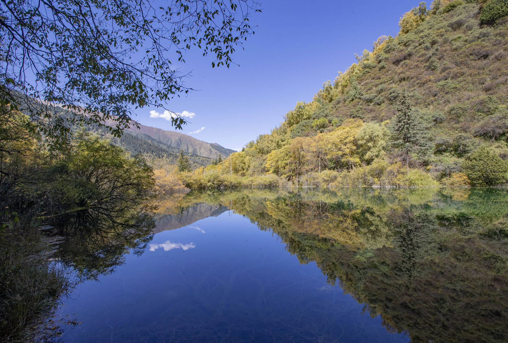 四川九寨沟金秋神仙池