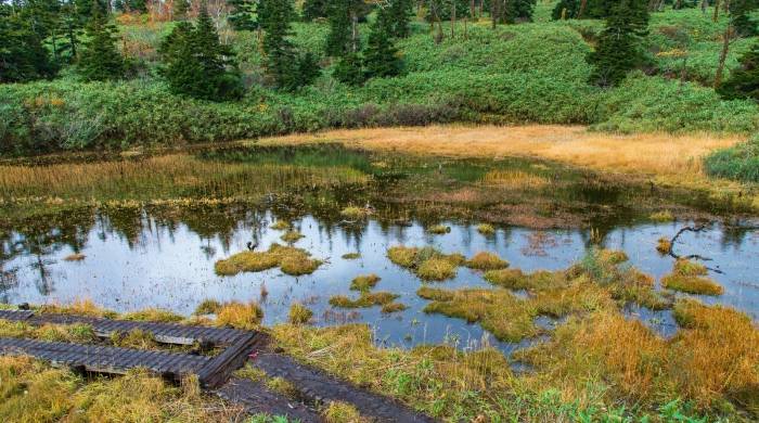 都知道要经营用户,但很多家电厂商抓不住重点,怎么办?-家电圈官网